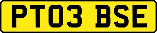 PT03BSE