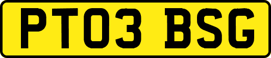 PT03BSG