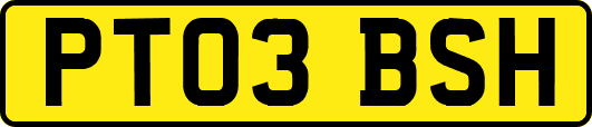 PT03BSH