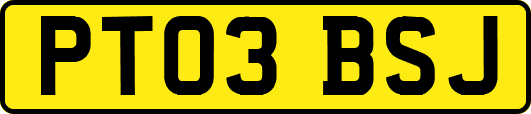 PT03BSJ