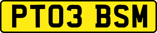 PT03BSM