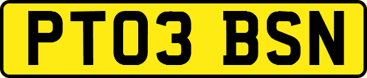 PT03BSN