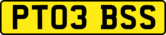 PT03BSS