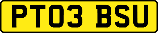 PT03BSU