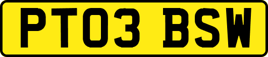 PT03BSW