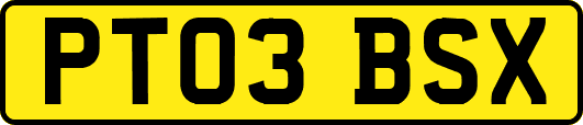 PT03BSX