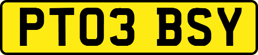 PT03BSY