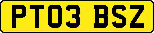 PT03BSZ