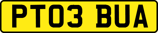 PT03BUA