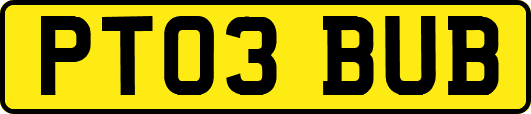 PT03BUB