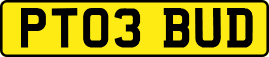 PT03BUD