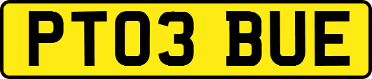 PT03BUE