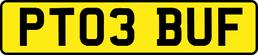 PT03BUF