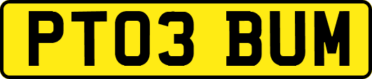 PT03BUM