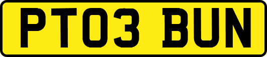 PT03BUN