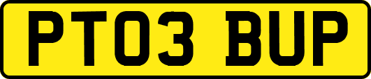 PT03BUP
