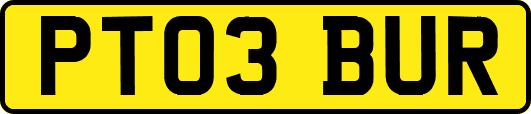 PT03BUR