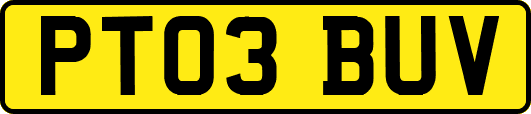 PT03BUV
