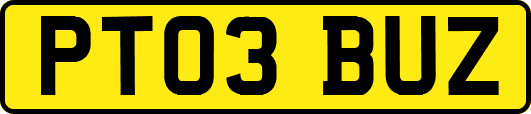 PT03BUZ