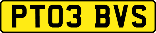 PT03BVS