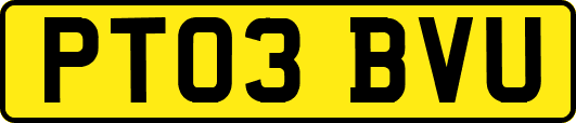PT03BVU