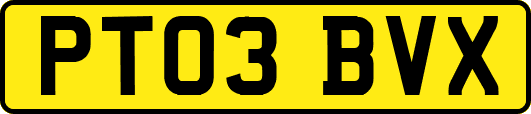 PT03BVX