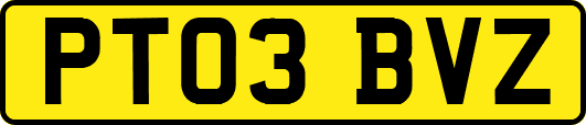 PT03BVZ