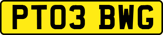 PT03BWG