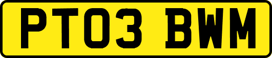PT03BWM