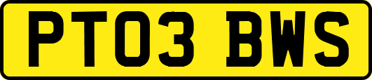 PT03BWS
