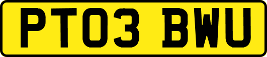 PT03BWU