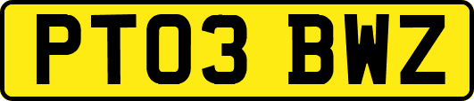 PT03BWZ