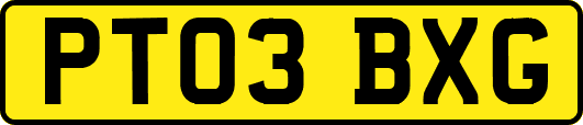 PT03BXG