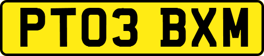 PT03BXM
