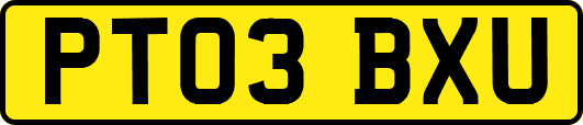 PT03BXU