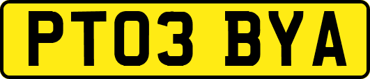 PT03BYA