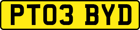 PT03BYD