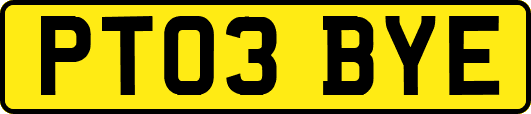 PT03BYE