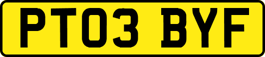 PT03BYF