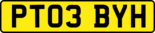 PT03BYH