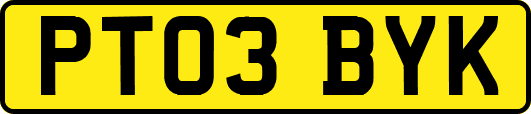 PT03BYK