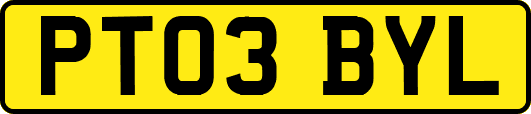 PT03BYL