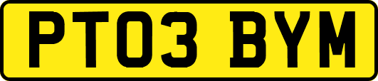 PT03BYM