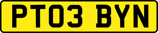 PT03BYN