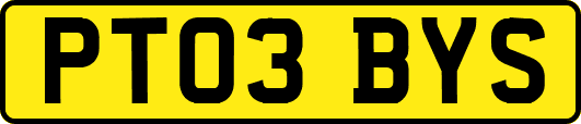 PT03BYS