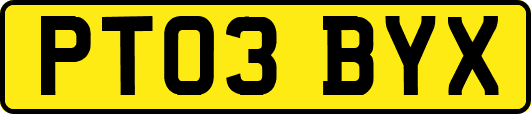 PT03BYX