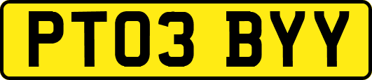 PT03BYY