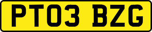 PT03BZG