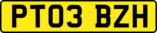 PT03BZH