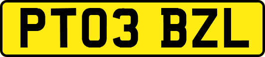 PT03BZL